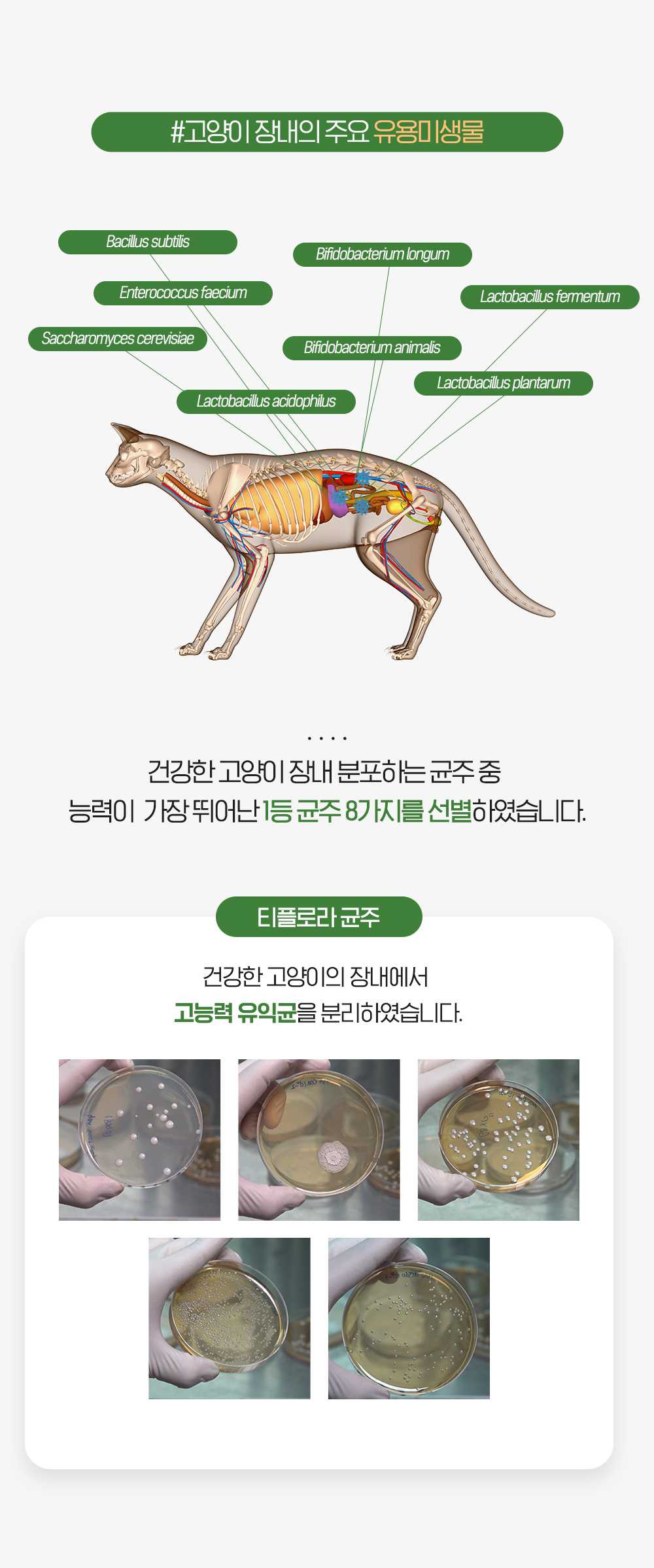 3dc4d9a6cf0388c60dc239f77194ed5c_1733991053_9715.jpg