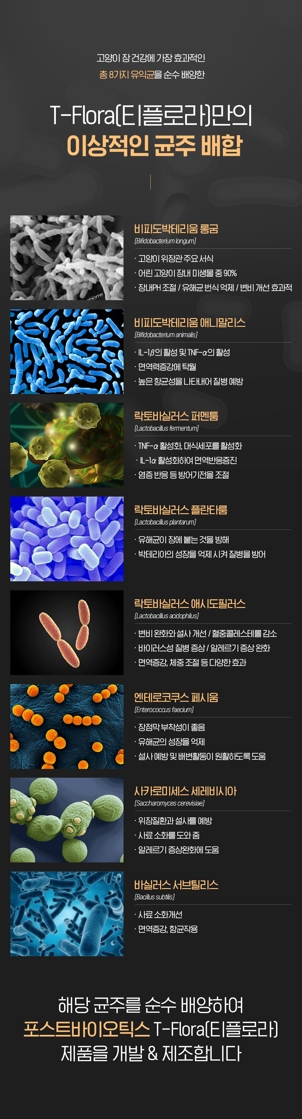 3dc4d9a6cf0388c60dc239f77194ed5c_1733991079_9244.jpg